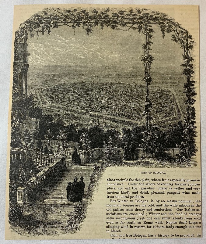1880 magazine engraving ~ VIEW OF BOLOGNA, Italy