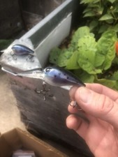 Custom Pre-Rap Style Wart Premium Blank Mountain Trout