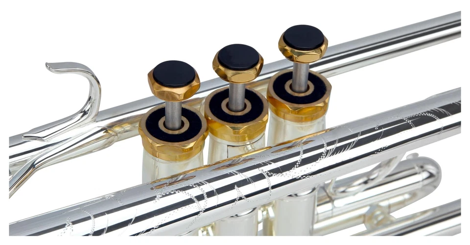 Lechgold Tromba Bb Ottone Placcato Argento 3 Pistoni Set Custodia e Accessori - Immagine 3 di 4