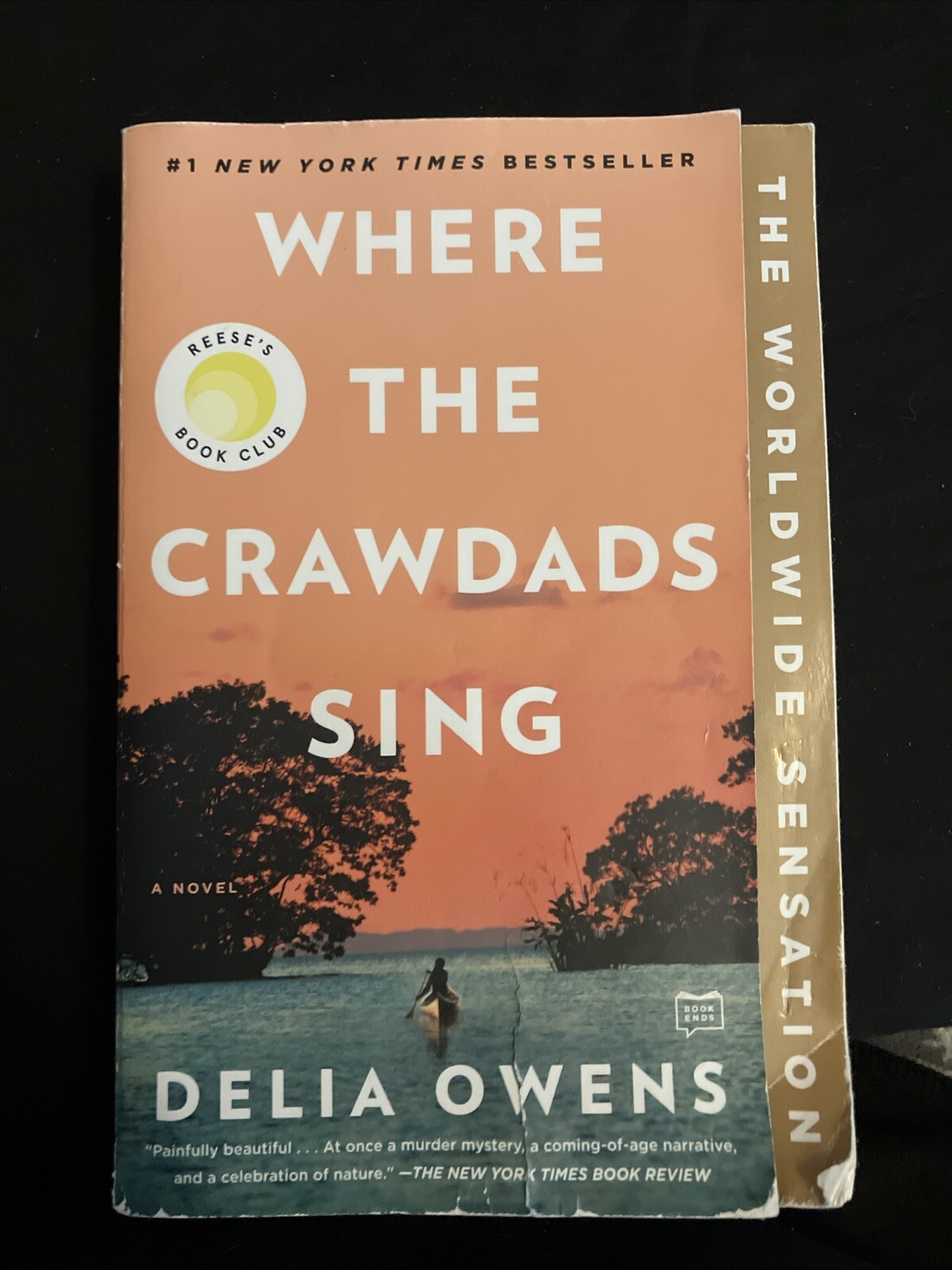 Where the Crawdads Sing - Paperback By Owens, Delia - GOOD