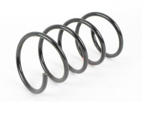 MERCEDES-BENZ C W203 Front Coil Spring A2033215204