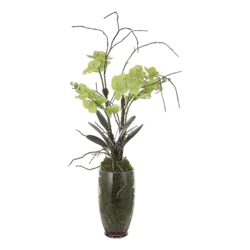 Uttermost Valdive Contemporary Polyester Polyfoam and Plastic Orchid in Green - Picture 1 of 4