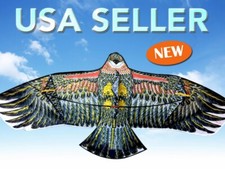 70" Huge Eagle Kite Line Fun Free Outside K70