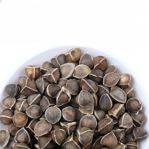 Bulk Moringa Seeds Large Moringa Seeds Produce Flower Tea 500g eBay