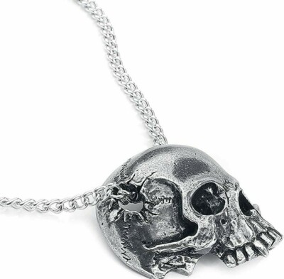 Alchemy Gothic Men's Remains Necklace Crushed Skull Fang