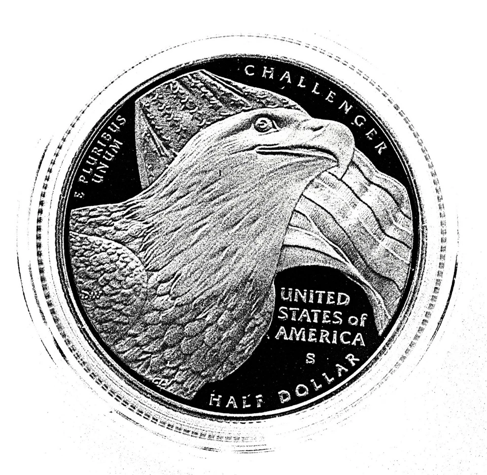 2008-S CHALLENGER BALD EAGLE & EAGLE CHICKS HALF DOLLAR 50C PROOF - Image 2 of 2