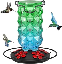 Glass Hummingbird Feeders for Outdoors, 25 Ounces Wild Bird Nectar Feeder with P