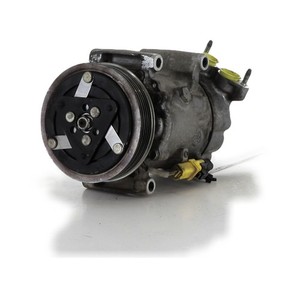 Klimaanlagekompressor - Citroen C2 PH.1 - 9800821980 - P1-9569A