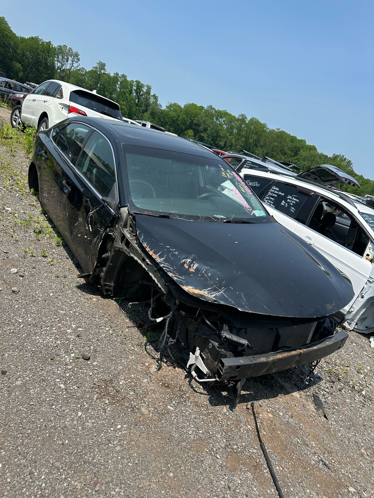 Picture 2