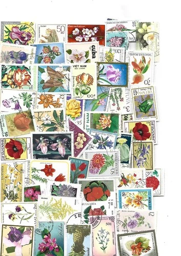 FLOWERS 50 USED DIFFERENT STAMPS