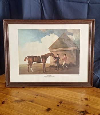 Gerahmter Sonnenfinsternis-Druck von George Stubbs volle 8 Farblithographie Offset