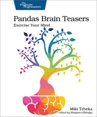 Pandas Brain Teasers: Exercise Your Mind (Paperback or Softback)