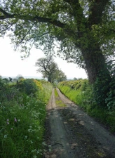 Photo 6x4 Byway near Bedstone This stretch is actually marked on the map  c2014