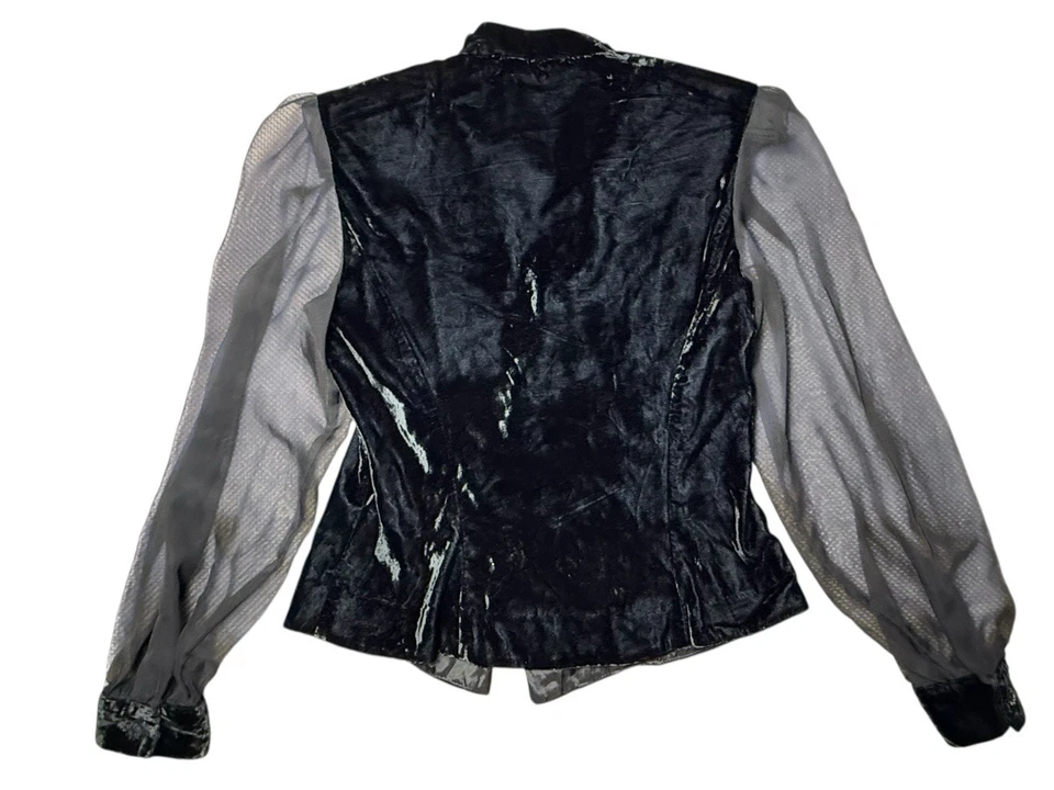 David Rose Velvet Blouse Sheer Sleeves Black Embroidered Victorian Cosplay Goth - Image 3 of 4