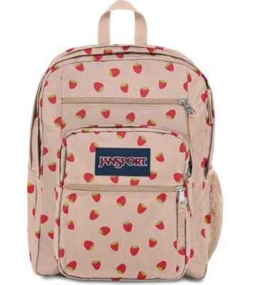 JanSport Laptop Backpack - Computer Bag with 2 Compartments, Ergonomic Shoulder