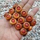 Magnificent Raja Kayu & Red Coral Chain Bracelet Borneo Red Agathis