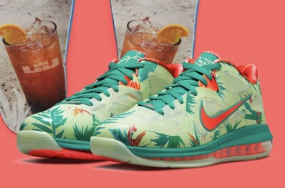 Nike LeBron IX Low 'LeBronald Palmer' DO9355 300 Men's 12 MVP