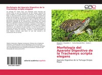 Raquel A. CéSpedes C. (U. A.) | MorfologíA Del Aparato Digestivo De La...