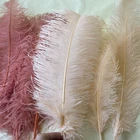 55-60cm Long Quality Ostrich Feathers Wedding Costume Craft Large Plume Ornament