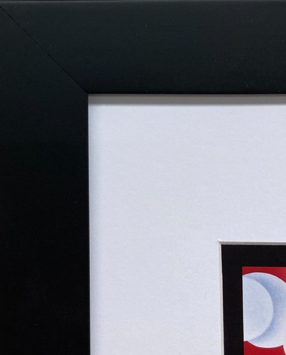 James Rosenquist "Flamingo Capsule '70" CUSTOM FRAMED Pop Art Print - Picture 3 of 3