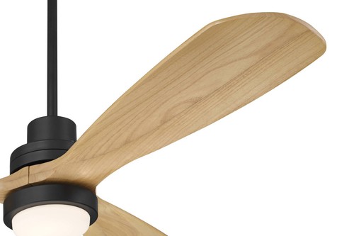 52" Casa Delta DC Matte Black Outdoor CCT LED Ceiling Fan with Remote 4134G - Picture 4 of 8