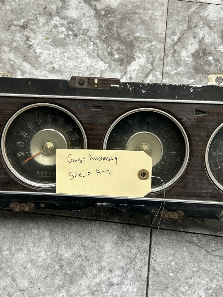 Mercury Cougar 1969 1970 calibre estándar panel de instrumentos instrumento con bisel Foto 2 de 4