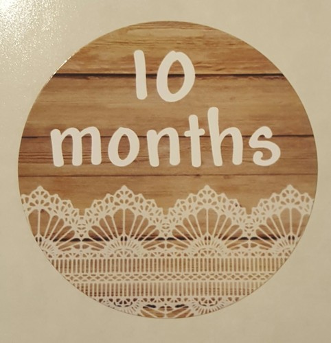 Wood w/ Lace - Baby Milestone Stickers - Months 1-12 - 2.5" Round Glossy Labels - Picture 10 of 12