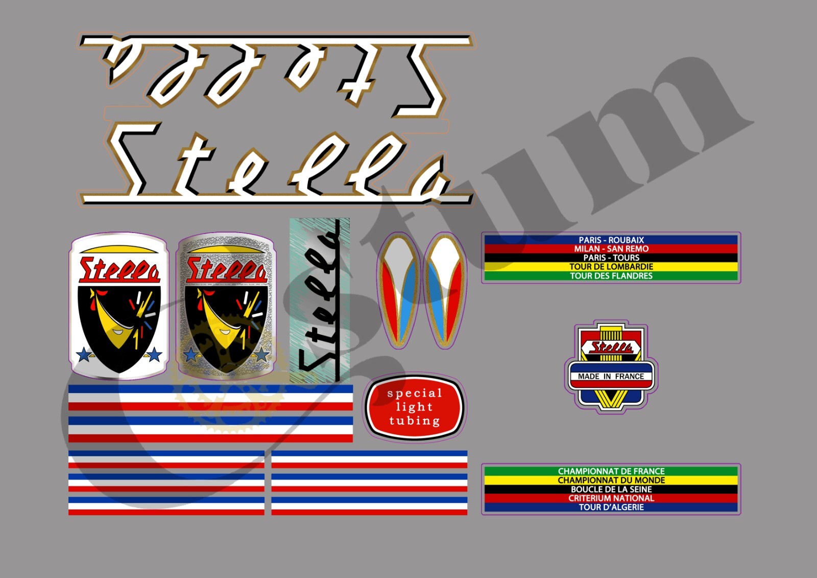 Stickers vélo STELLA autocollant cadre bicycle de route et VTT STELL306