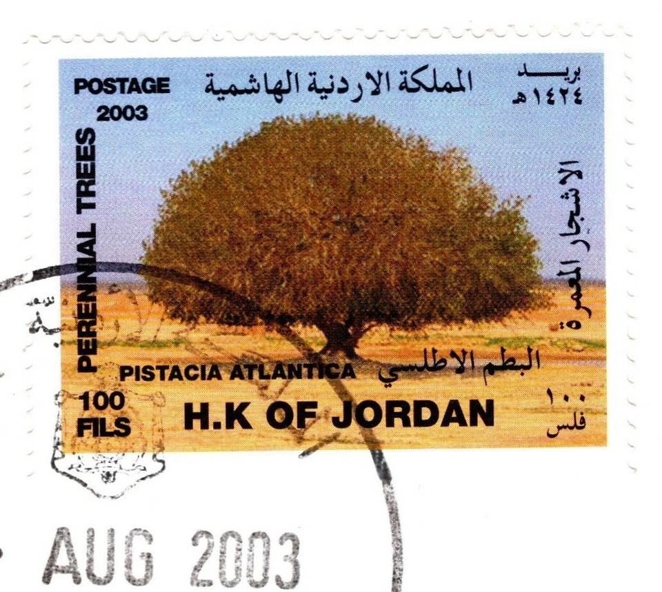 JORDAN 2003 ÁRBOLES PERENNES EN JORDAN PRIMER DÍA CUBIERTA 3 SELLOS CONJUNTO ALTO EN VALOR Foto 3 de 4