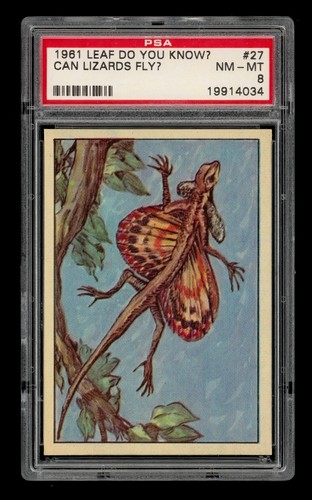 1961 Leaf Do You Know? Set-Break # 27 Can Lizards Fly? PSA 8 NM-MT