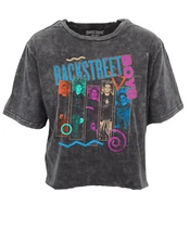 BACKSTREET BOYS POSE VINTAGE WASH RAW HEM CROP WOMENS T SHIRT