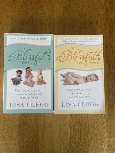 The Blissful Baby Expert & The Blissful Toddler Expert by Lisa Clegg (Paperback) - Picture 1 of 4