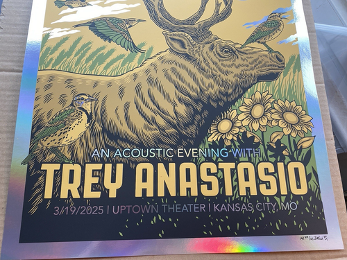 OFFICIAL Trey Anastasio Acoustic RAINBOW FOIL AP POSTER Kansas City MO 2025 #/25 - Picture 6 of 7