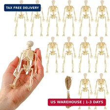 Mini Skeleton Figurines, 12Pcs 6 Inch Small Skeletons Halloween Decorations for