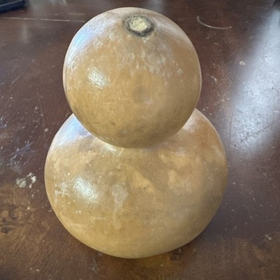 Clean Dry Gourd For Crafting 5 Diameter, 6 High, 15.5 Circumference