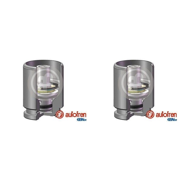 2X Autofren 38Mm Kolben Bremssattel Hinten Passend FüR Jaguar X-TYPE Opel Crossl-image