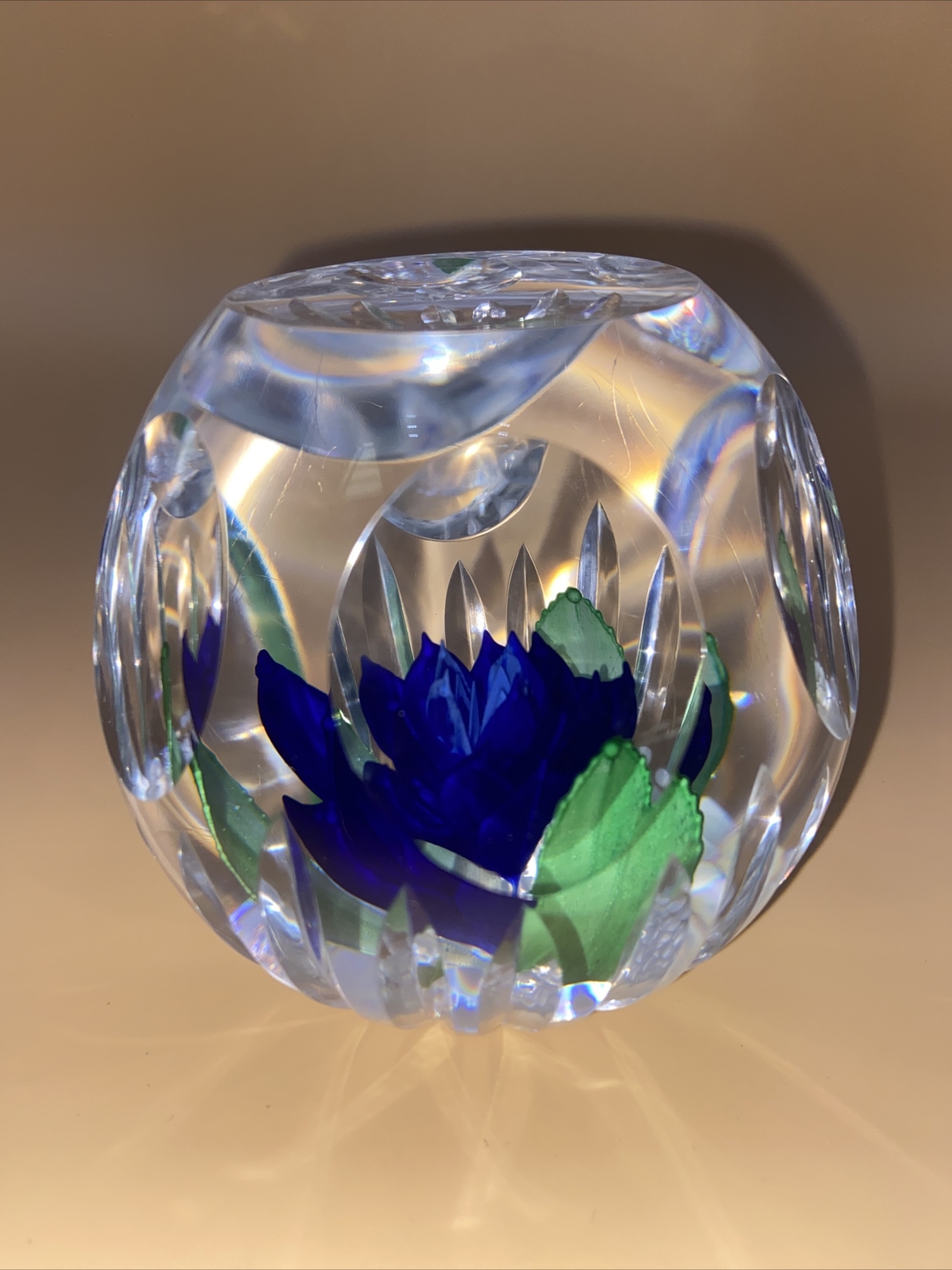 Caithness Glass Paperweight Hot House Collection Blue Heaven 13/100 eBay