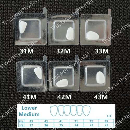 30Pcs Dental Composite Porcelain Veneers Resin Light Cure Anterior Teeth Veneer - Picture 10 of 20