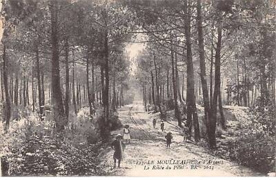 33 - LE MOULLEAU - SAN34077 - Silver Coast - La route du Pilal