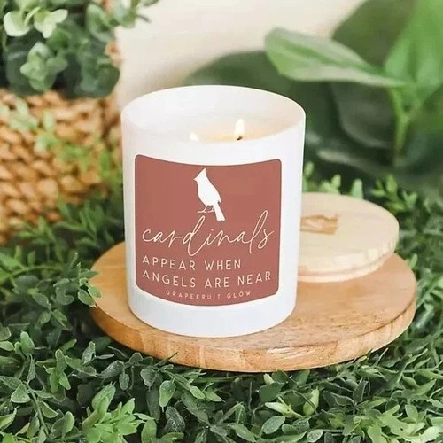Sincere Surroundings Cardinals Appear Candle