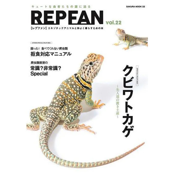 Chameleon Manga Book Japan Import Authentic Very Good