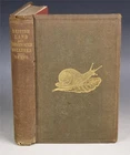 1863 Lovell Reeve The Land and Freshwater Mollusks Molluscs Reeve & Co Snails