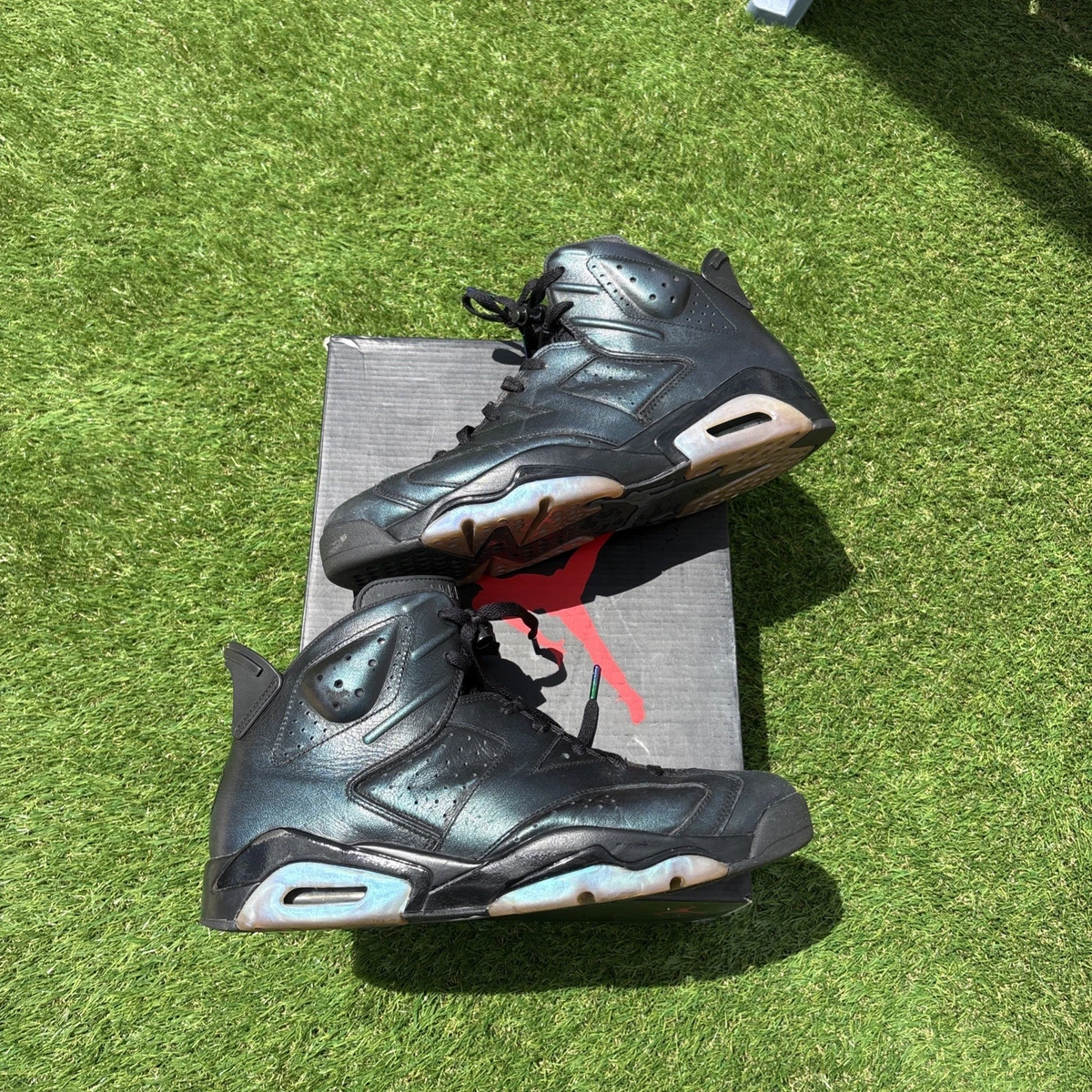 Jordan 6 Retro All Star - Chameleon for Sale | Authenticity