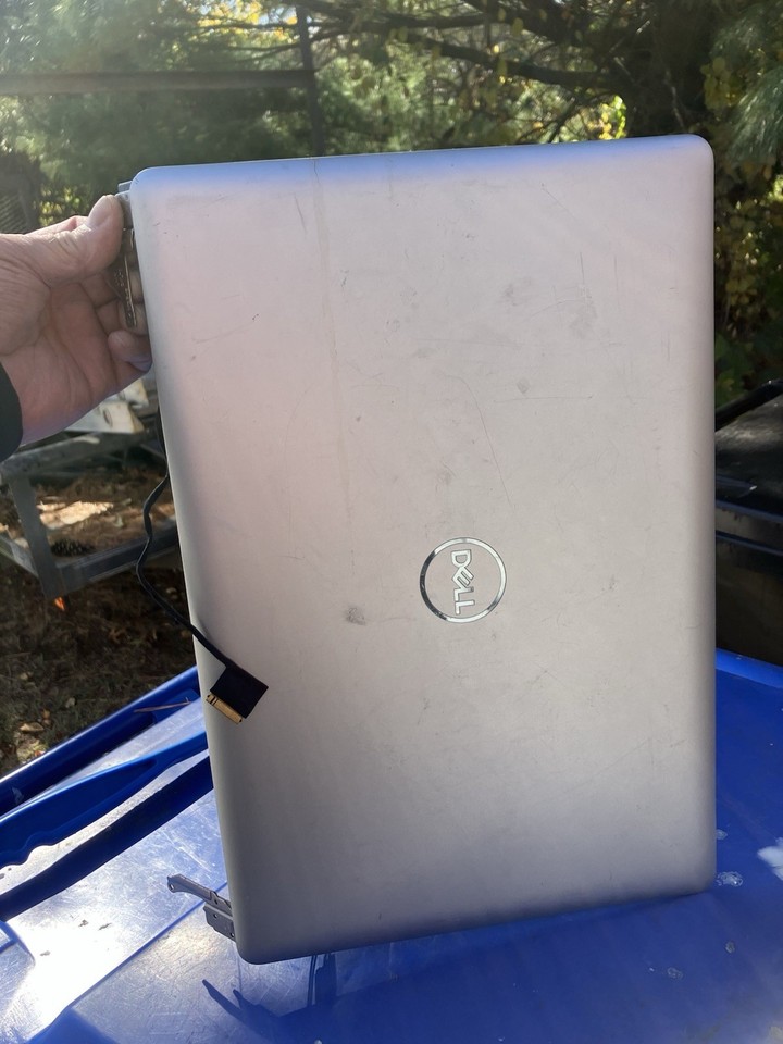 Dell P/n MWY7K 0MWY7K B173HAN01.3 Alienware 17 R5 P31E FHD IPS