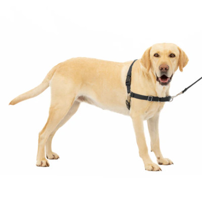 PetSafe Easy Walk Harness | No-Pull Leash Training Dog Harness