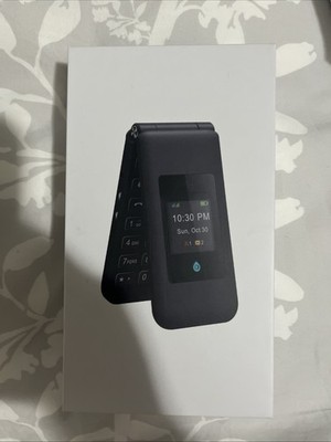 Fig Flip Mini II Phone 64GB