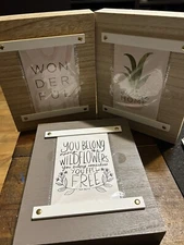 Bullseye Wildflower Box Wall Changeable Decor Tom Petty Rare Full Set