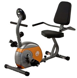 recumbent bike cardio workout