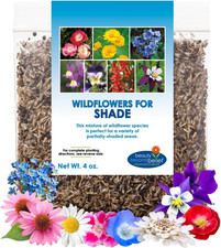 Partial Shade Wildflower Seeds 4Oz - Open-Pollinated Wildflower Seed Mix Packet, 103.84 per gallon