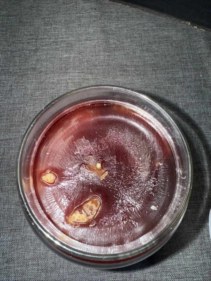 Yankee Candle Forest Glen Black Band Housewarmer 22oz Never Used - Image 2 of 2